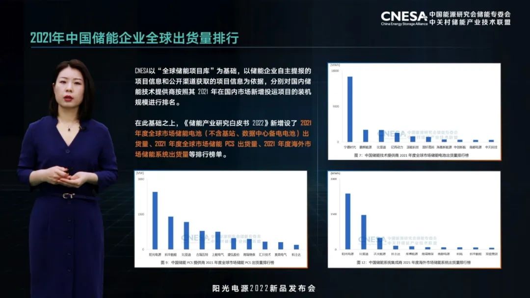 刘为:中国储能驶入规模化发展阶段 刘为:中国储能驶入规模化发展阶段