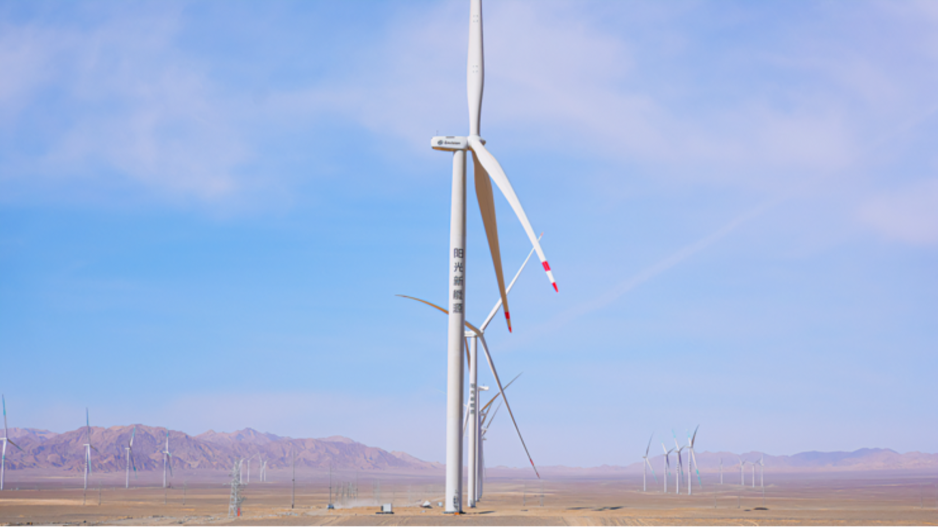 西北的风，点亮中原的灯