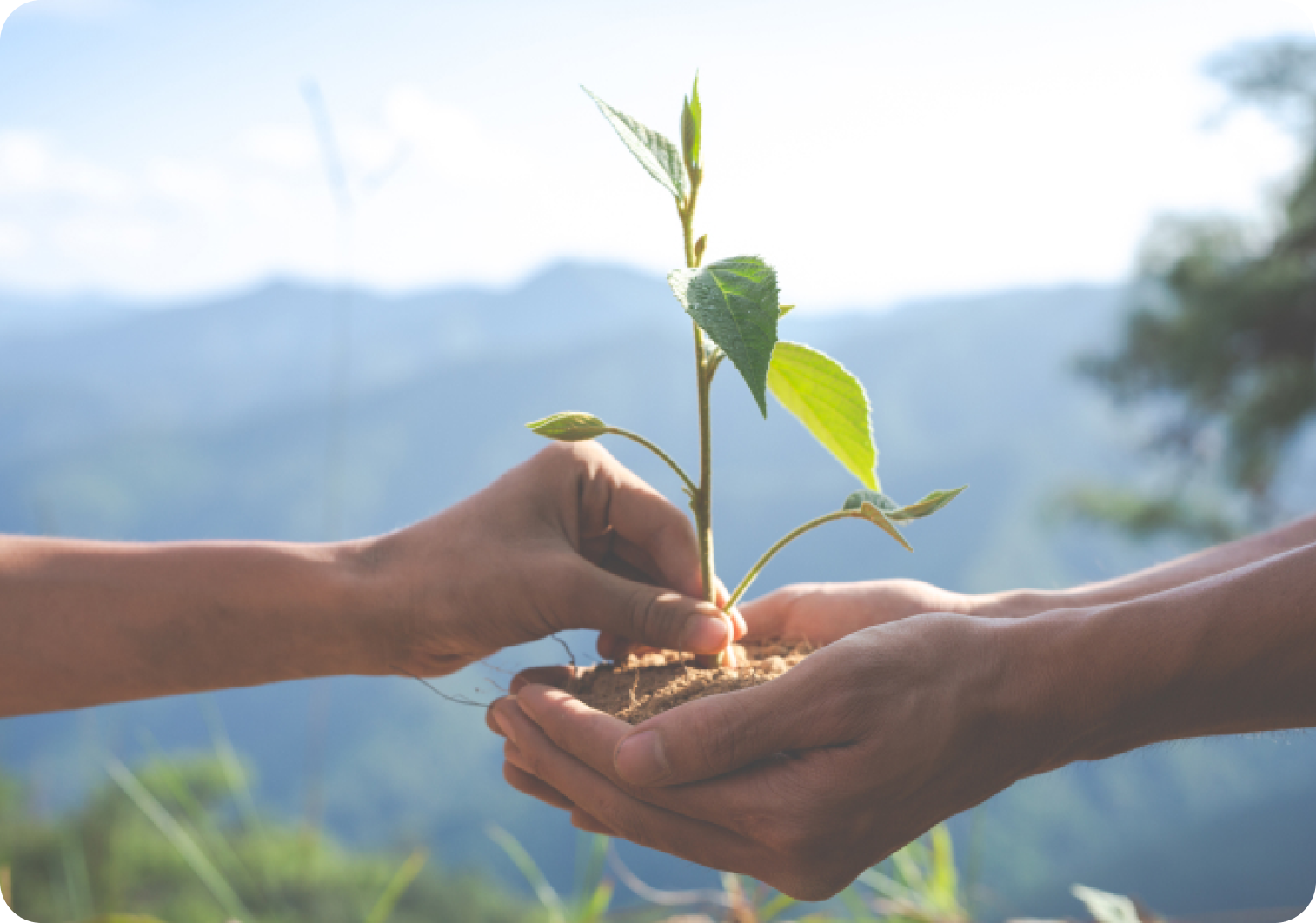 阳光电源公益基金会